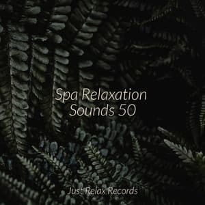 Spa Relaxation Sounds 50 - Musica romantica instrumental