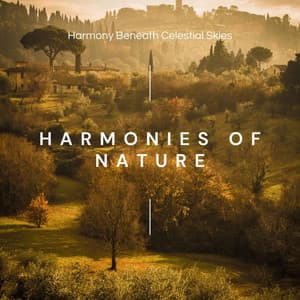 Piano Reverie: Harmonies of Nature - Fezliam