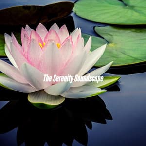 The Serenity Soundscape - Upbeat Instrumental Music