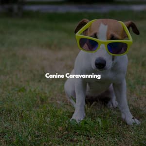 Canine Caravanning - Lunch Time Jazz