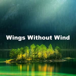 Wings Without Wind - Sleep Songs with Nature Sounds