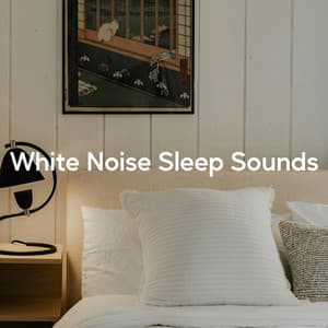 White Noise Sleep Sounds - Blue Noise Therapy