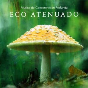 Eco Atenuado - Lewis Owen Heath