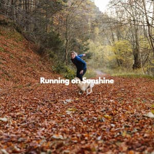 Running on Sunshine - Restaurant Jazz Classics