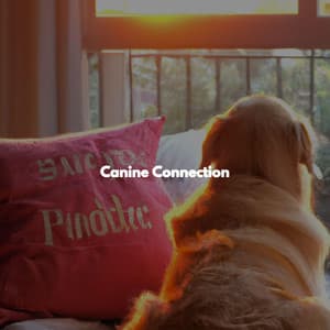 Canine Connection - Reading Music Deluxe