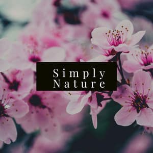 Simply Nature - Masala Roo
