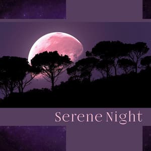 Serene Night – Deep Relaxing Sleep Music & Sounds of Nature for Relaxation Therapy, Blissful and Healthful Sleep - Sleep Cycles Music Collective