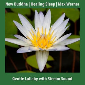 Gentle Lullaby With Stream Sound - New Buddha