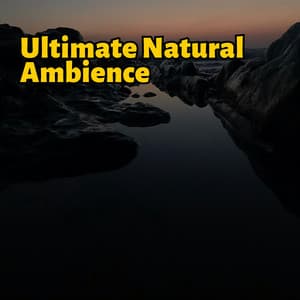Ultimate Natural Ambience - Soothing New Age Sounds - Sonic Serenity