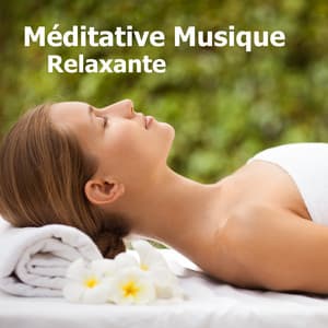 Méditative Musique Relaxante - Musique Calme et Relaxation