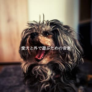 愛犬と外で遊ぶための音楽 - Restaurant Jazz Klassiker