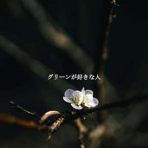 グリーンが好きな人 - Jazz per Studiare