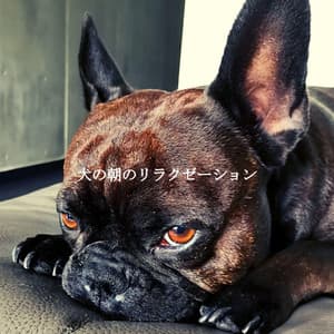 犬の朝のリラクゼーション - Hotel Lounge Music