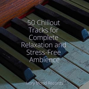 50 Chillout Tracks for Complete Relaxation and Stress-Free Ambience - Ivory Mood