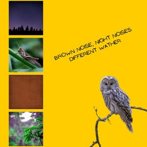 Brown Noise, Night Noises , Loopable - Brown Noise Sounds