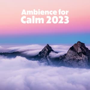 Ambience for Calm 2023 - Acoustic Chill Out
