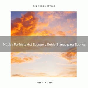 Música Perfecta del Bosque y Ruido Blanco para Buenos - Ruido Para Bebé