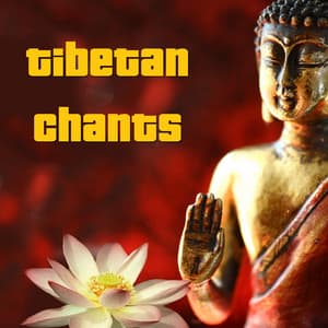 Tibetan Chants - Monks For Peace