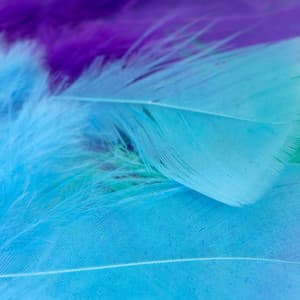 Backdrop for Acoustic Smoothness - New York City Jazz