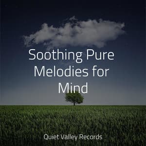 Soothing Pure Melodies for Mind - Ambient Rain