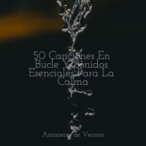 50 Canciones En Bucle Y Sonidos Esenciales Para La Calma - Deep Sleep Relaxation