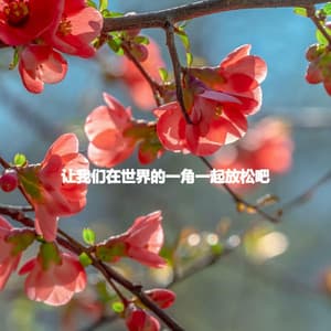 让我们在世界的一角一起放松吧 - Jazzy VIbes for Study Time