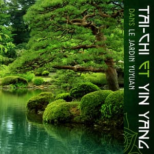 Tai-Chi et Yin Yang dans le jardin Yuyuan - Zen Méditation Ambiance