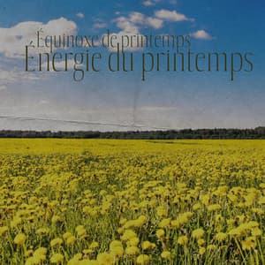 Équinoxe de printemps: Énergie du printemps, Nouvelles possibilités, Méditation printanière, Relaxation de mai, Affirmations printanières - Musique pour Détendre en Temps Libre