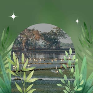 Echoes of Spring Rest - Dinner Table Jazz Dream