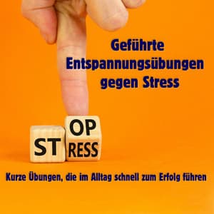 Geführte Entspannungsübungen gegen Stress - Kurze Übungen, die im Alltag schnell zum Erfolg führen - Entspannende Medizin
