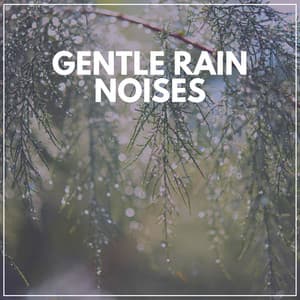 Gentle Rain Noises - Calming Rainforest Sounds