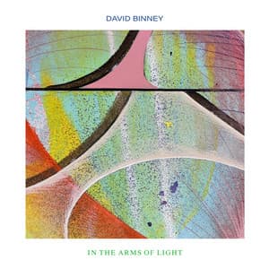 In The Arms Of Light - David Binney