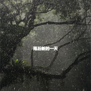 雨后新的一天 - Musica per Studiare