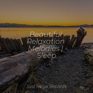 Beautiful Relaxation Melodies | Sleep - Musica de Relajación Academy