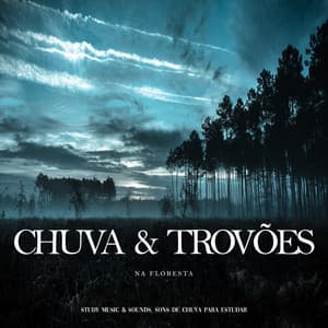Chuva e Trovões na Floresta - Study Music & Sounds