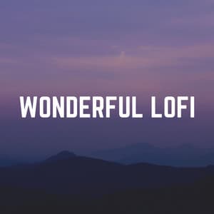 Wonderful Lofi - HIP-HOP LOFI