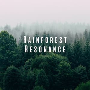 Rainforest Resonance: Forest Rain for Mindful Relaxation - Nature Label