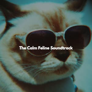 The Calm Feline Soundtrack - Calm Cafe Lounge