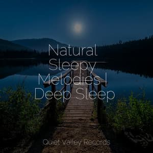 Natural Sleepy Melodies | Deep Sleep - Chakra Meditation Universe