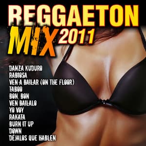 Reggaeton Mix 2011 - Reggaeton Man Flow