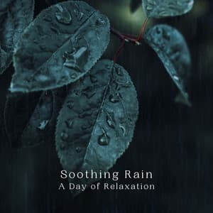 Soothing Rain: A Day of Relaxation - Rain Palace