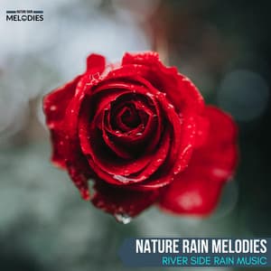 Nature Rain Melodies - River Side Rain Music - The Rain Library