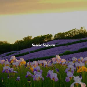 Scenic Sojourn - Música de Trabajo