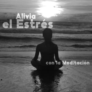 Alivia el Estrés con la Meditación - Técnicas de Meditación Academia