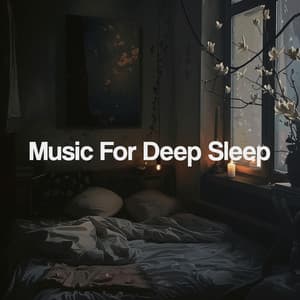 Music For Deep Sleep - Sleep Music
