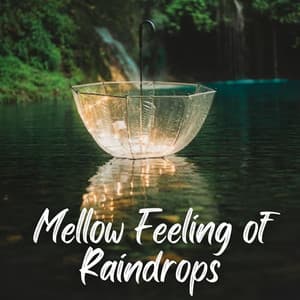 Mellow Feeling of Raindrops - Recorder Rain