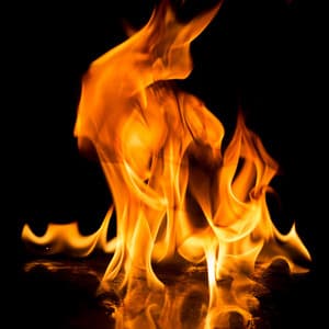 Tranquil Flames: Melodic Serenity in Firelight - DNA Academy