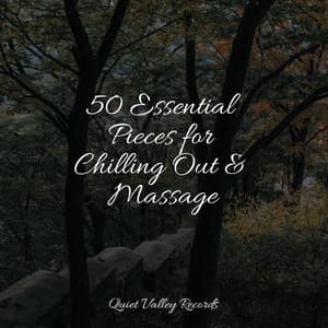 50 Essential Pieces for Chilling Out & Massage - Rainforest