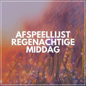 Afspeellijst Regenachtige Middag - Geluiden van de Regen