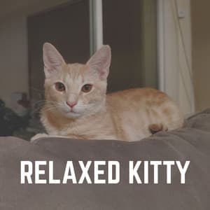 Relaxed Kitty - Music For Cats